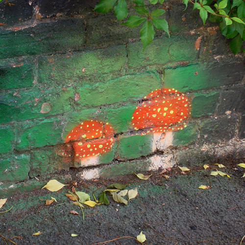 mushroomcore