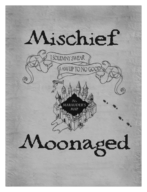 mischiefmoonaged: — It is the quality of one’s convictions that determines success, 