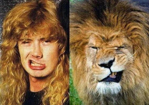 Sex Dave Mustaine pictures