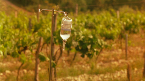 filmsby:  films without faces: Stealing Beauty (1996) dir. Bernardo Bertolucci