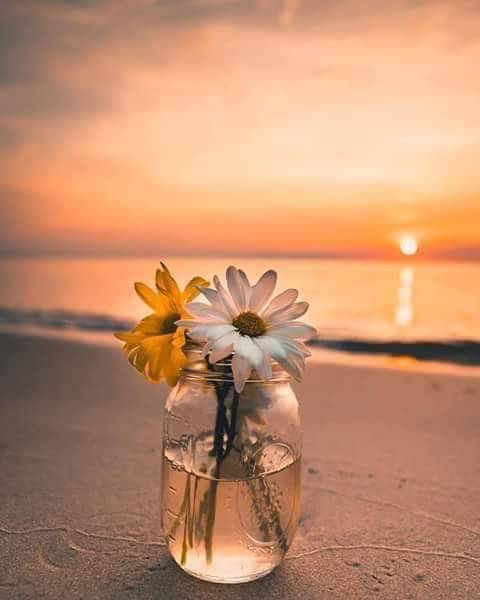 catalisst:  loggardenia:    Hope ~~