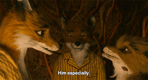 cinnamontographyismypassion:Fantastic Mr. Fox (dir. Wes Anderson, 2009)