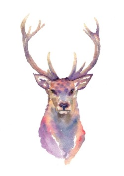 deer-art:  author: Samantha Thorley