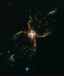 astronomyblog:  In celebration of the 29th anniversary of the launch of NASA’s Hubble Space Telescope, astronomers captured this festive, colorful look at the tentacled Southern Crab Nebula.The nebula, officially known as Hen 2-104, is located several