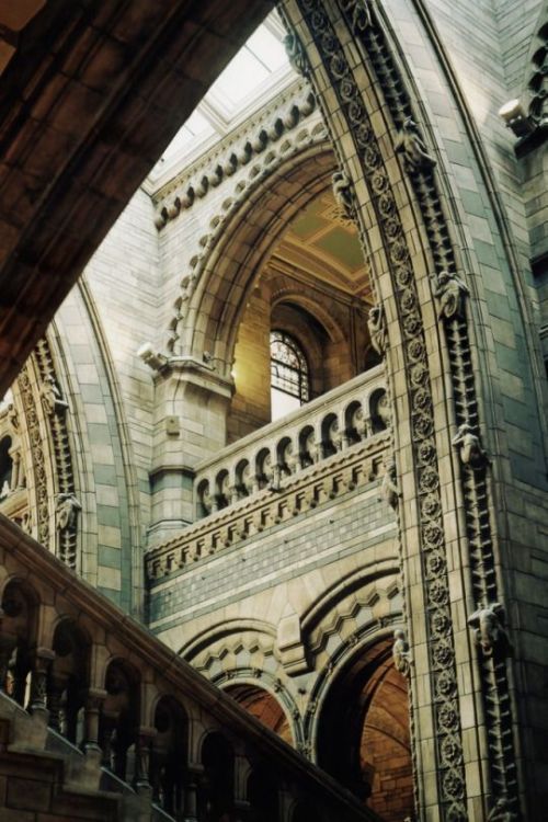 davidhansendesign: The Natural History Museum London, England #Built Beauty