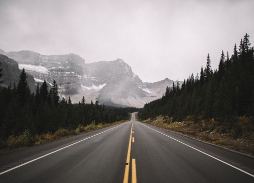 kodiakstag:  These mountains plague my dreams, I’ll always want to go back //Alberta