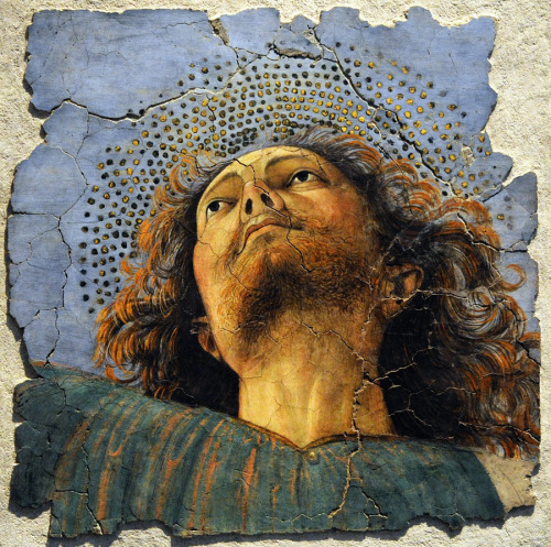 Head of an Apostle, by Melozzo da Forlì, Pinacoteca Vaticana, Musei Vaticani, Vatican City.