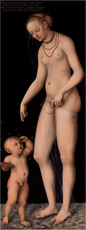 desimonewayland: Lucas Cranach the Elder  Venus with Amor the honey thief, after 1537 The Kröller-Müller Museum The young Amor has stolen some honey. He still holds the honeycomb in  his hand and angry bees swarm around his head. His mother Venus is