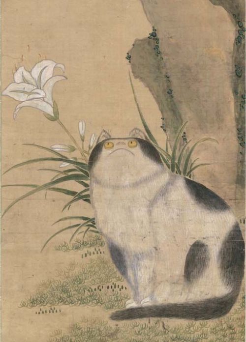 podcastwizard:nobrashfestivity:  Unknown, Cat, 19th century   hostile group chat