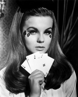 Ciao-Belle:  Ann-Margret In Viva Las Vegas, 1964