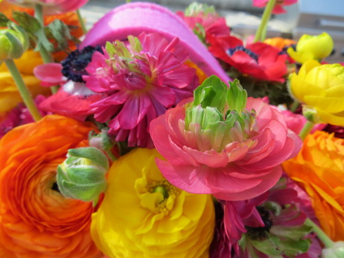 Super Green Ranunculus