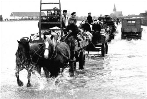 Photographs of the 1953 North Sea floodall taken in the Netherlands, february 1953
• Dikebreach near Papendrecht (X)
• People feeing their flooded villages (X)
• Soldiers rowing survivors to land, Zeeland (X)
• Farmer leading a cow through the...