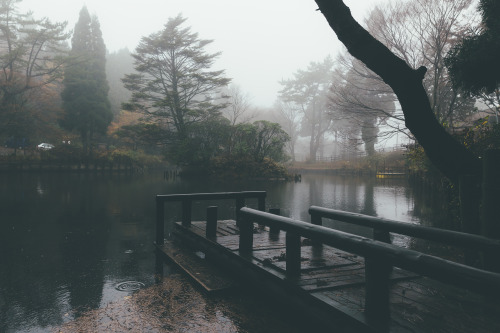 Foggy Mt.Rokko. Fall 2015霧の六甲山instagram | 500px | twitter