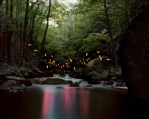 artchipel:  Barry Underwood (b.1963, USA) Artist Barry Underwood documents full-scale installations he builds on-site in the landscape. Curiosity about ecological and social history of specific places drives his work. By revealing the beauty and potential