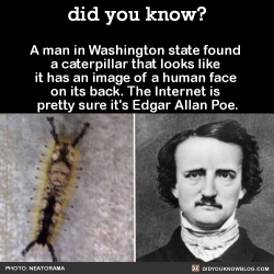 did-you-kno:  He almost crushed it with his