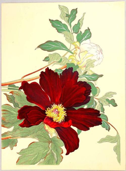fujiwara57:“Western Flower GraphicDiagram" de Tanigami Konan 谷上廣南 (1879 – 1928).