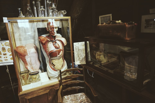 stayven-carnivale: The Old Operating Theatre Museum & Herb Garret (Part 1)Hidden away in the att
