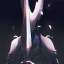 niter0se04