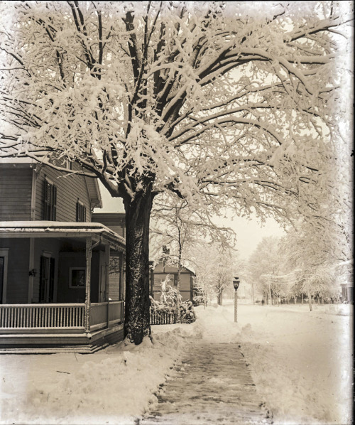 onceuponatown:New York. After a Snowfall, circa 1890. 