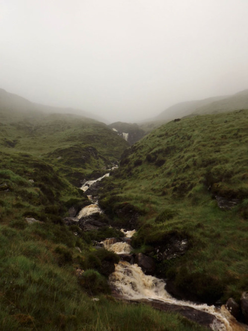 sfitzgerald-art: June in Ireland, dense fog.