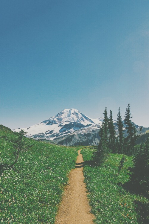 allergic-tosociety: too—weird-to-live: i wanna go i wanna go i wanna go