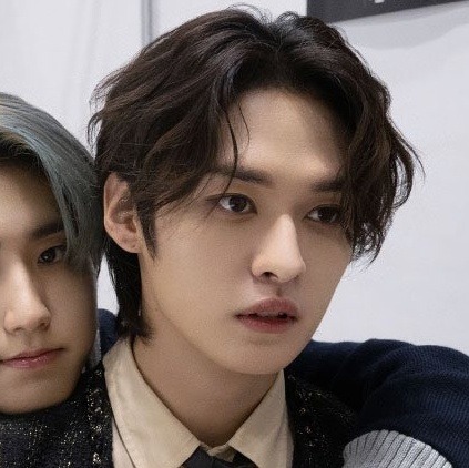 Stray Kids Matching Icons/metadinhas.