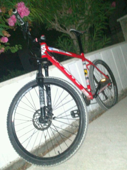 efemtb: #bike #flower #nıght
