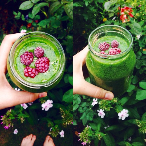 pr0veyourself: Another day, another smoothie Really like this set and its colours ♻️