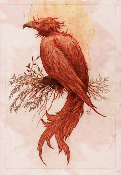 fuckyeahpaganism:  In ancient Greek and Egyptian mythology, the phoenix is a mythical bird and associated with the Egyptian sun-god Re and the Greek Phoibos (Apollo). According to the Greeks the bird lives in Arabia, nearby a cool well. Each morning at