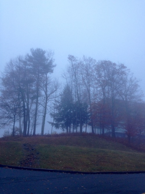 bonusocean:this morning i woke up very early and outside was foggy + nice