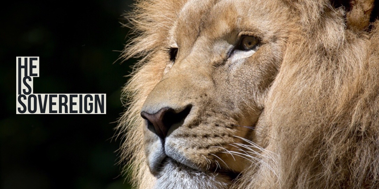 Grow In Wisdom In The LORD s Hand The King s Heart Is A Stream Grow In Wisdom In The LORD s Hand The King s Heart Is A Stream