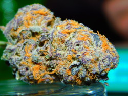 potheadkitten:  Purple Punch   This looks tasty