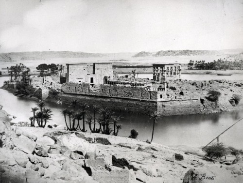 Philae Island, 19th centuryPhotographed by Antonio Beato (1832-1906).