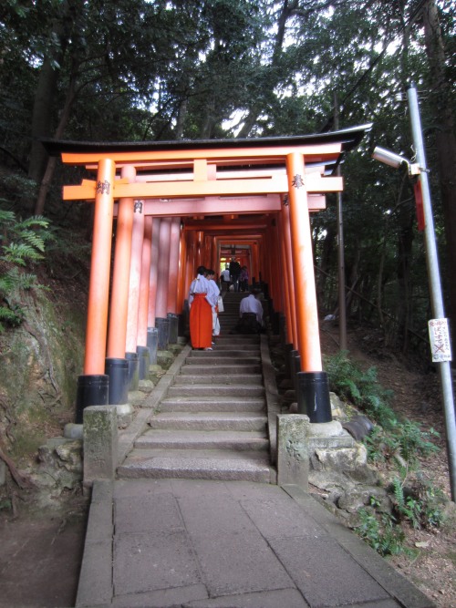 Fushimi Inari part 2