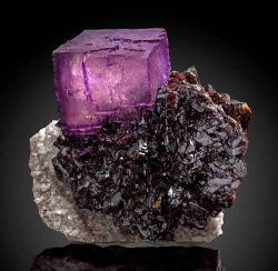 geologypage:  Fluorite, Sphalerite, Dolostone | #Geology #GeologyPage #Mineral  Large raspberry-purple Fluorite cube sitting atop a Sphalerite cluster on Dolostone  Locality: Elmwood Mine, Carthage, Smith County, Tennessee Size: 8.7 x 8.5 x 8.1 cm  Photo