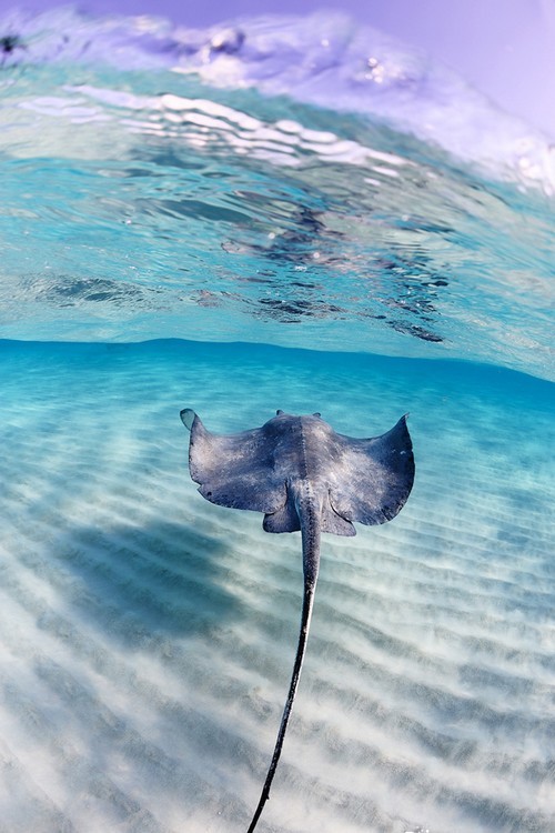 wonderous-world:  Solitude by Nadeika 