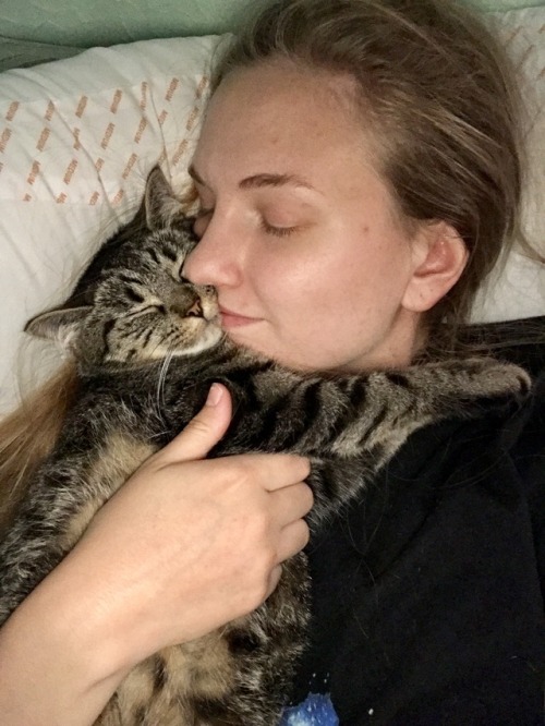 For everyone that has not seen my cat, this is Princess Tigerbelle. She is the best squishy potato t