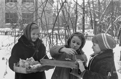 sovietpostcards:Yunnats (young nature lovers) filling bird feeders, Moscow, December 1967