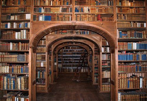 vielynne:  laurenbeukes:  Libraryporn love theremina:     Jfc I can’t not have this on my blog Seriously any of these would be my personal paradise.