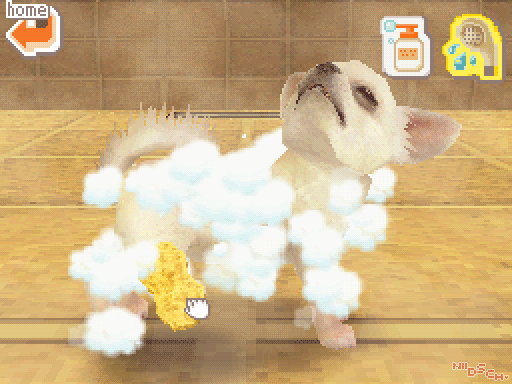 Nintendogs Chihuahua & Friends (2005)