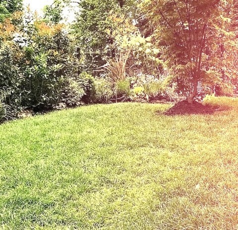Decking - Contemporary Landscape Photo Of A Large Contemporary Full Sun Hillside Landscaping With Decking
