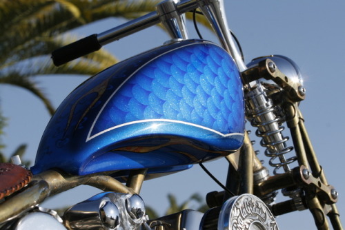 psychoactivelectricity: Barracuda - Indian Larry