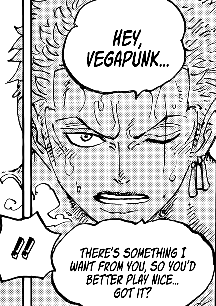 One Piece: What Does Zoro Want From Vegapunk?