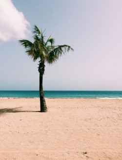 mywanderwanderwanderlust:  Isla Verde, Puerto Rico