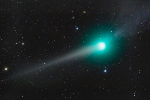 Comet Lulin in New Mexico, EUA.Credit: Richard Richins (NMSU) 