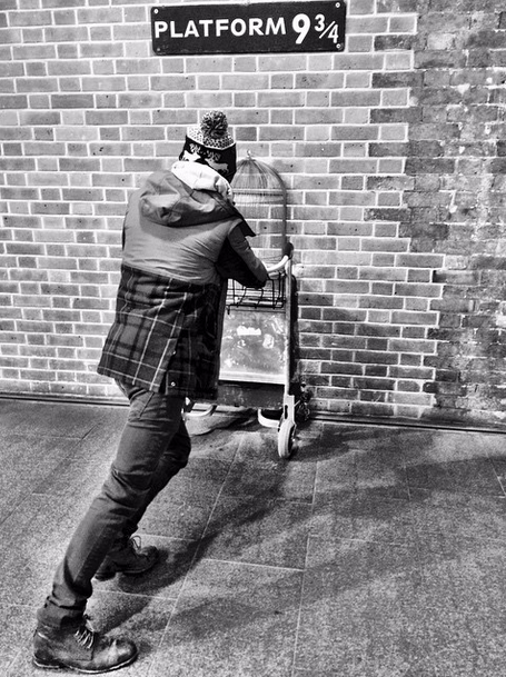 tomfckingfelton:  Literally no one loves Harry Potter as much as Tom Felton. &lt;3