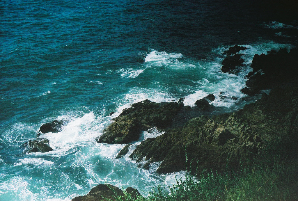 scaena:  Mazatlan, Mexico (by Lauren Fowler) 