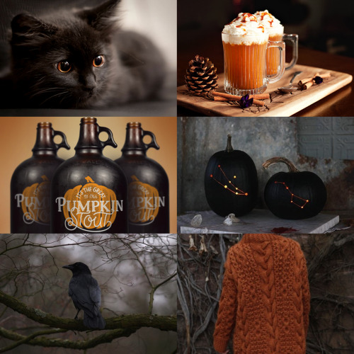 wingedwolves:  inspiration for autumn 