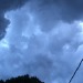 Little storm came through 