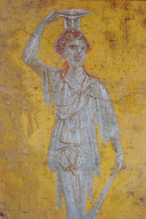 ancientart:A collection of ancient Roman frescos recovered from Vesuvian Ash in Stabiae, 1st century